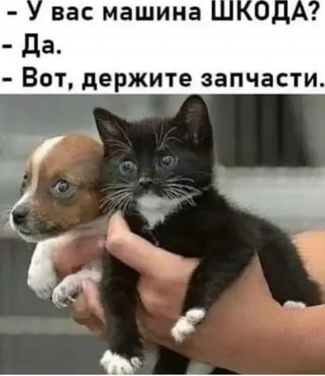Отряд быстрого деградирования