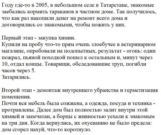 Борьба с тараканами