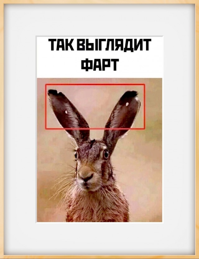 Небольшая подборка народного творчества по ситуации с Дональдом