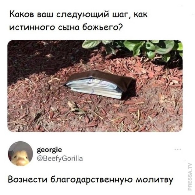 Так себе картинки 05.08.24