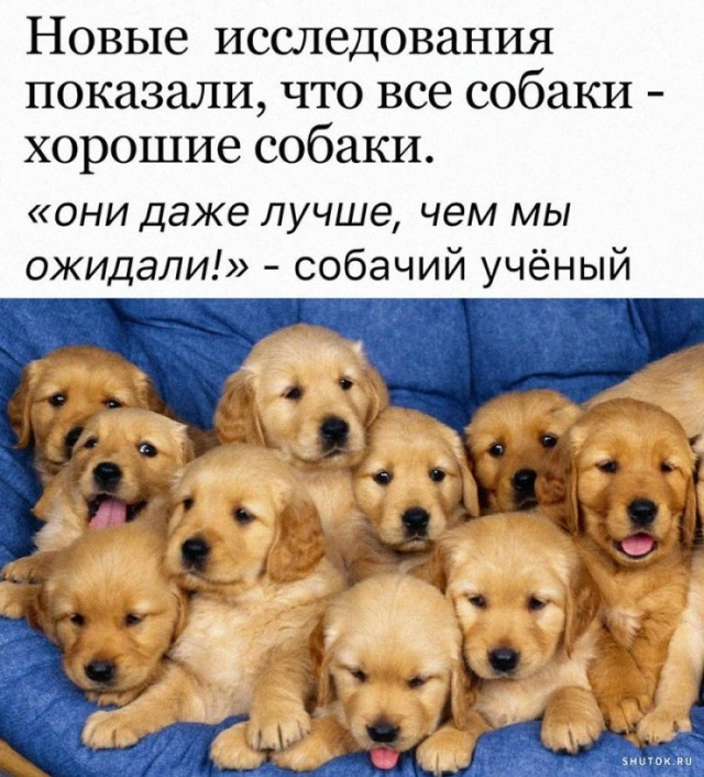 Так себе картинки 11.10.24