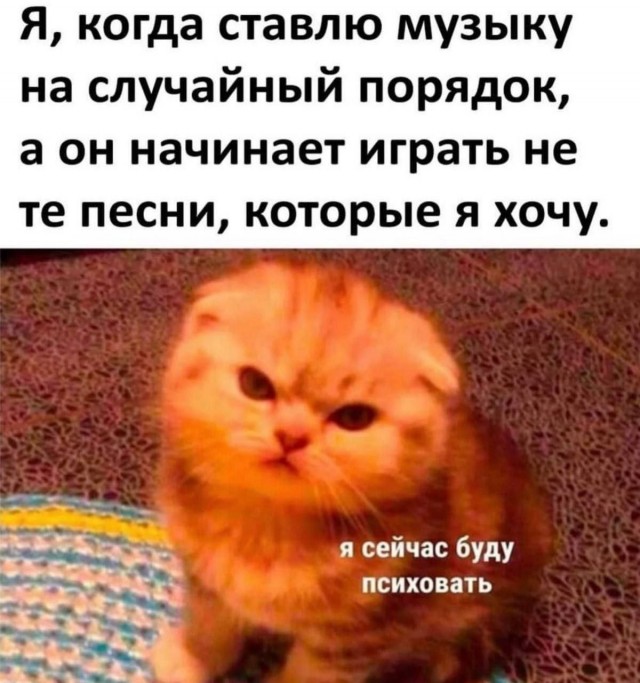 Так себе картинки 30.10.24