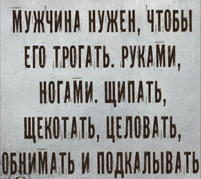 Прикольные и просто красивые картинки 01.11.2024