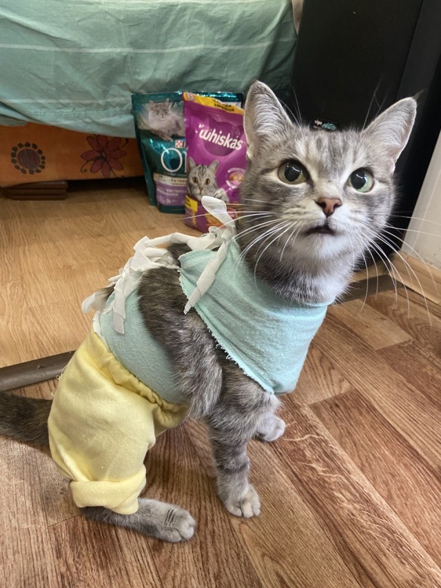 Мои гопники