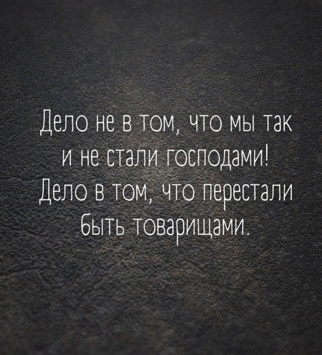Так себе картинки 14.02.25