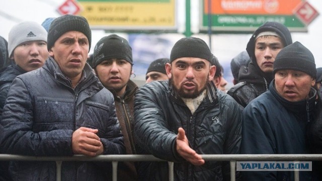 Прокуратура Москвы составила портрет типичного преступника по итогам 2024 года