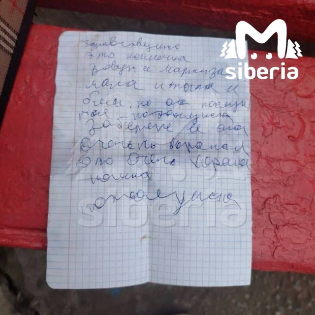 Ребёнок оставил свою кошку на лавочке в Новосибирске. Так он защитил её от избиений.