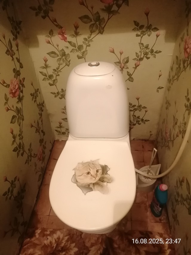Вот моя деревня, вот мой дом родной...