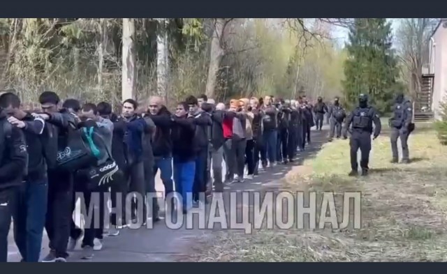 Силовики накрыли незаконный хостел в Подмосковье
