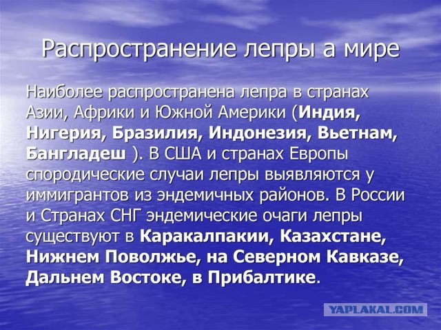 А к нам скоро хлынут индусы...