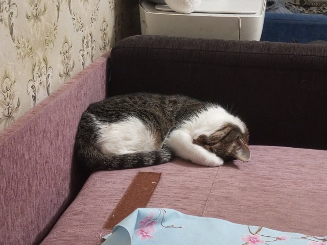 Бааарсик)