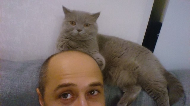 Мой кот