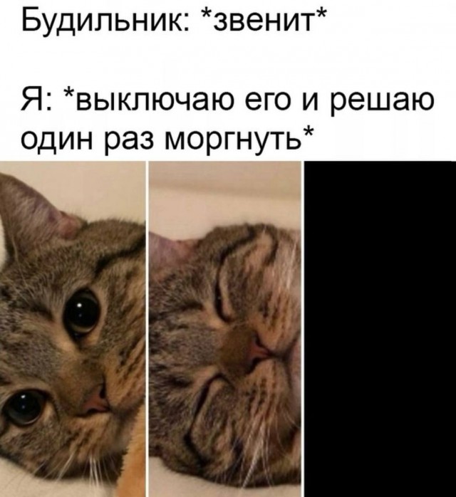 Воскресные картинки