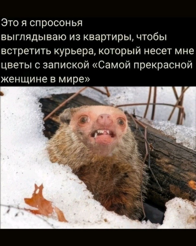 Прикольные и просто красивые картинки 13.02.2026