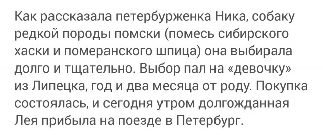 Собаку спасли из Невы, где она час боролась с течением