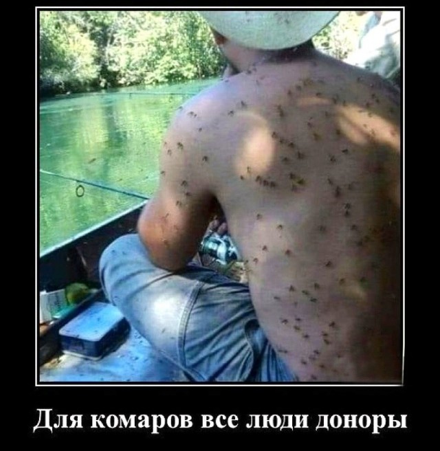 Так себе картинки 24.07.26