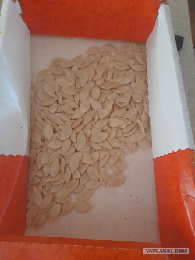 Достучаться до небес.