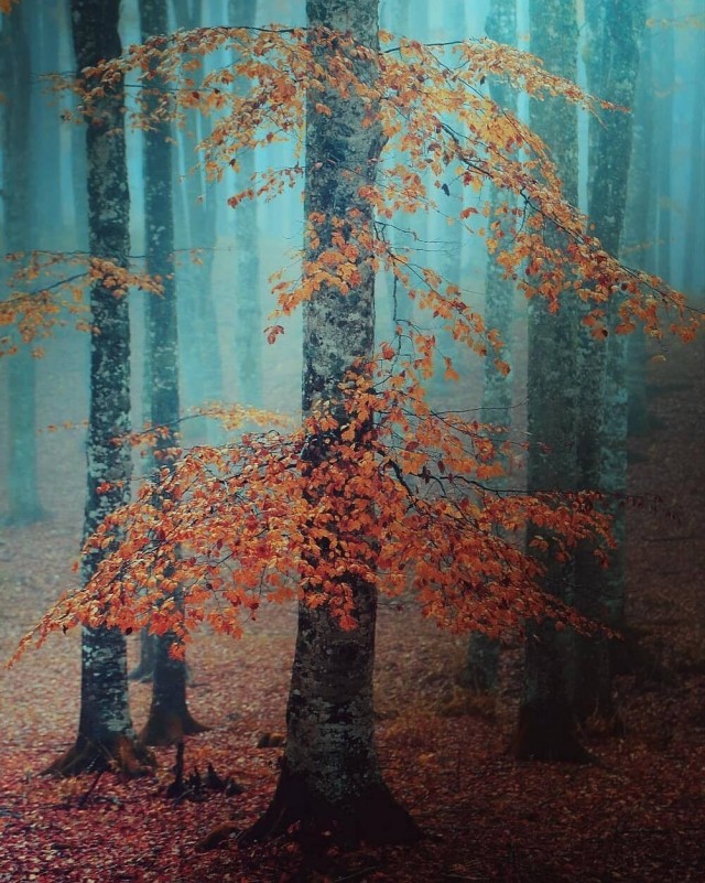 October