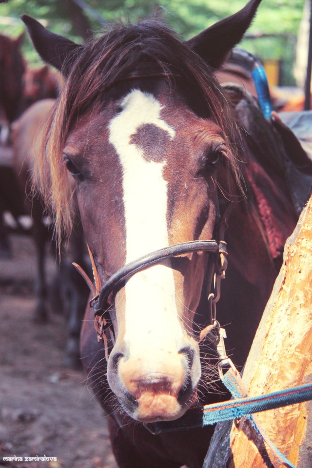 Крым: Судак и окрестности