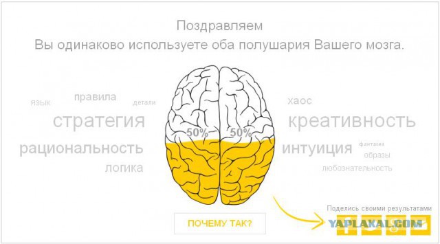 Тест - Левое или Правое.