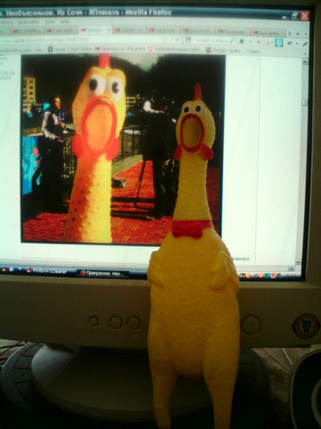 Прекрасное. Необъяснимое. Из Сочи