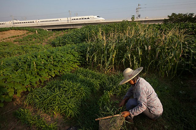 Китайские скоростные ж/д линии