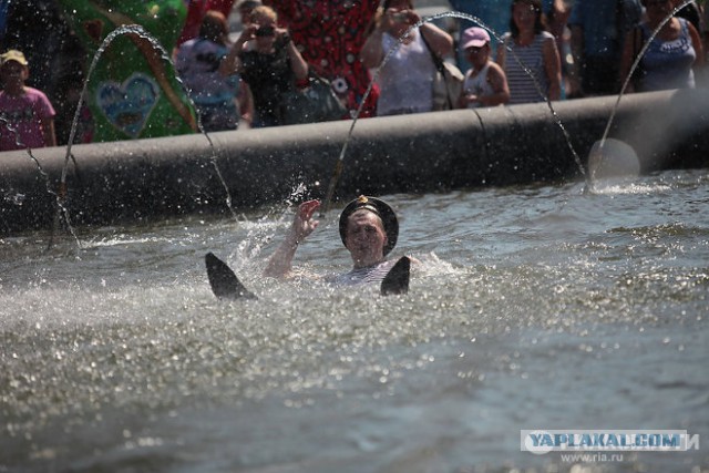 Граница на замке 2014