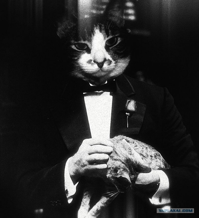 Звери - люди