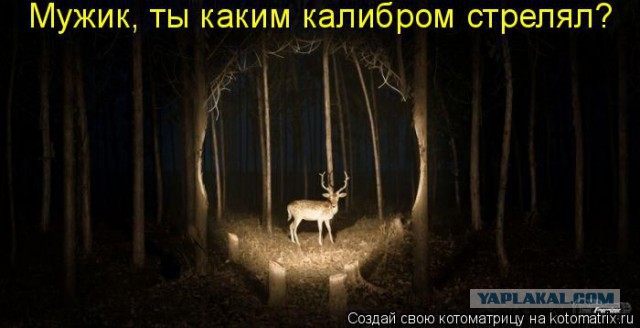 Подборка веселых картинок