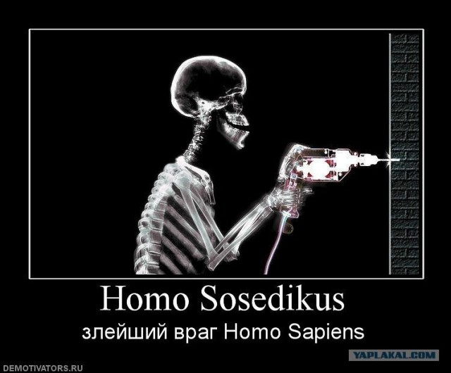 А что выбрал бы ты?