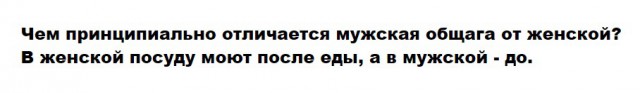 Холостяцкая жизнь