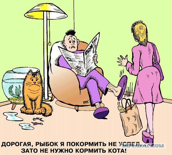 А картинки?