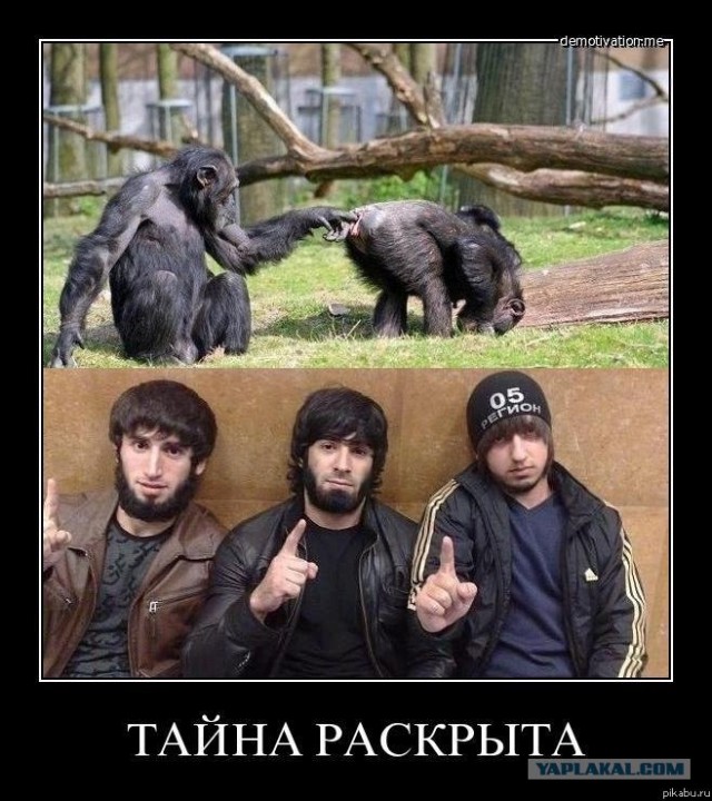 Круговорот оружия в природе