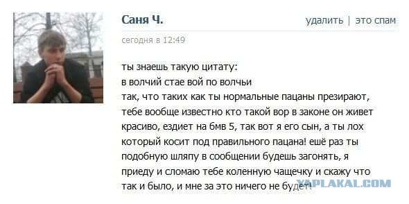 В волчьей стае..