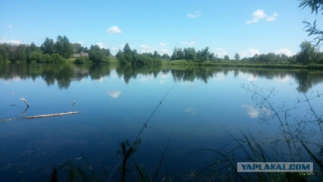 Итоги сезона в Крыму...