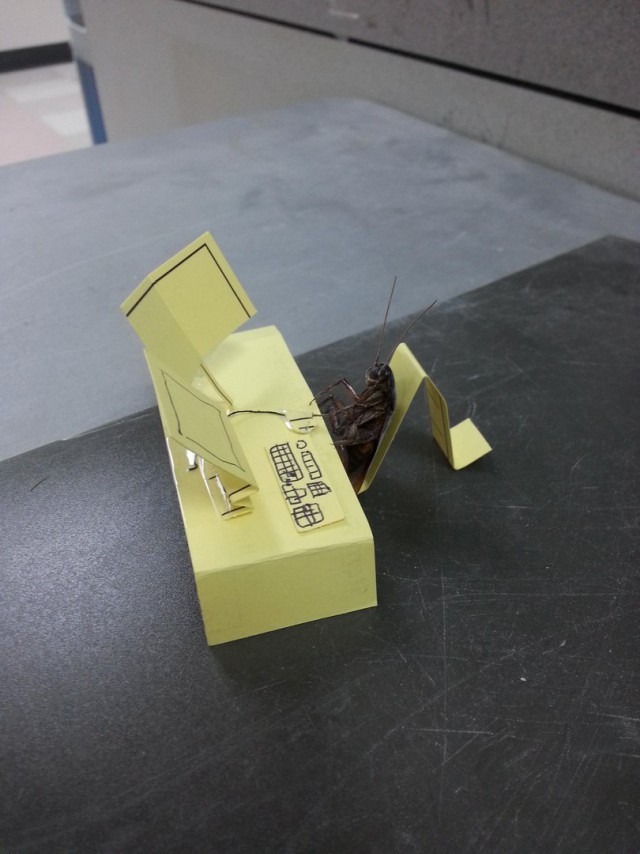 Просто картинки