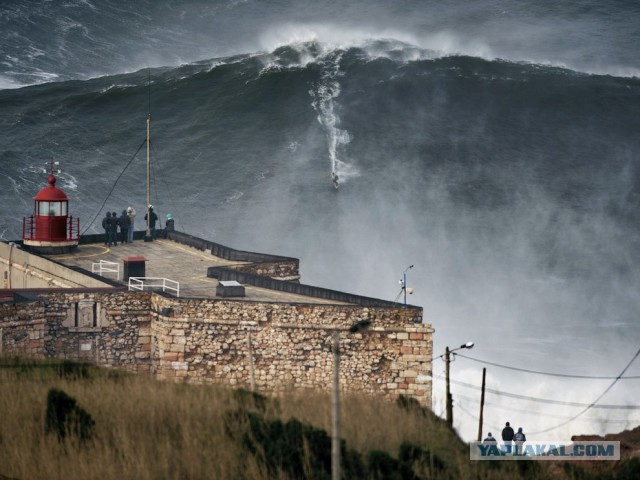 Подборка картинок
