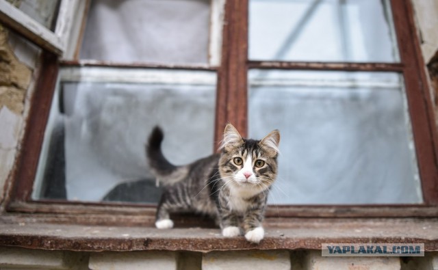 Подборка смешных, не очень и просто красивых фотографий