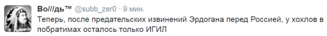 Президент Турции извинился перед Путиным за сбитый Су-24