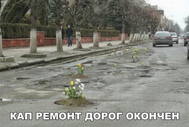 Всякие разные картинки из интернета