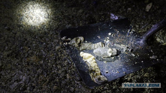 Огромные «айсберги» из жира в британской канализации