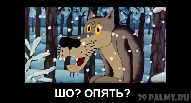 Матвиенко предложила отменить транспортный налог и повысить цены на бензин