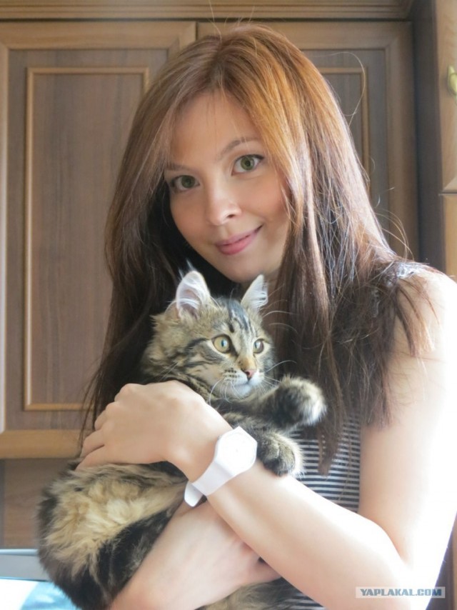 Котовторник   5.06.2012