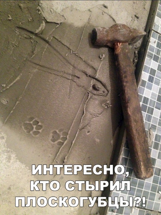 Нестандартный юмор
