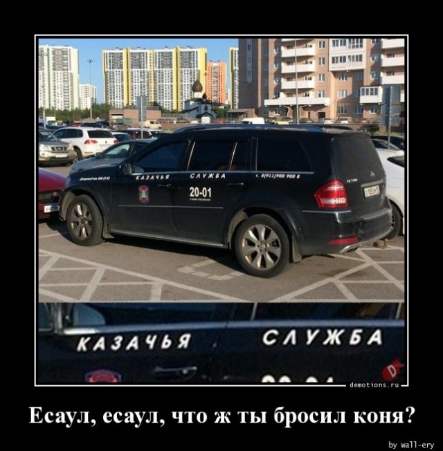 Казачья служба