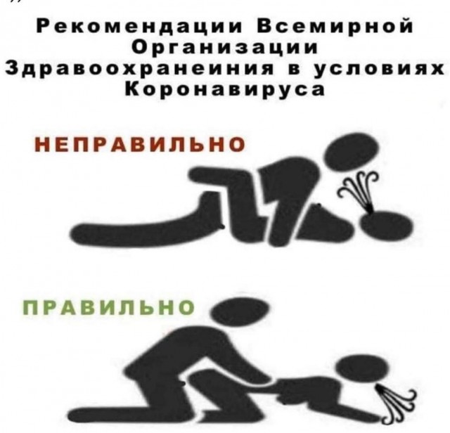 Pornhub креативно себя рекламирует в момент повальных карантинов и предоставляет бесплатную порнуху