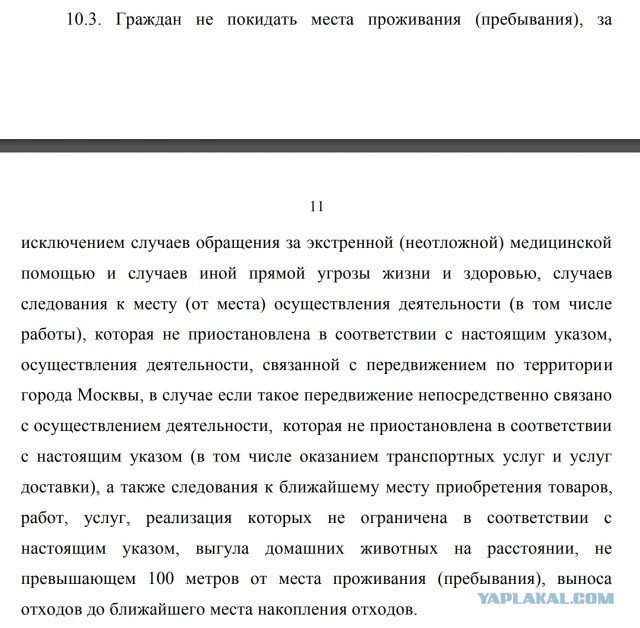 Штраф за нарушение режима самоизоляции