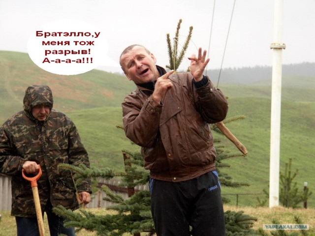Фотожаба: Звонок в Стрим! Антон Уральский
