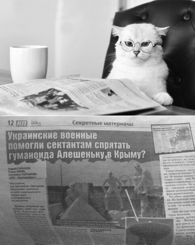 Эй вы, давно не деградировали?!