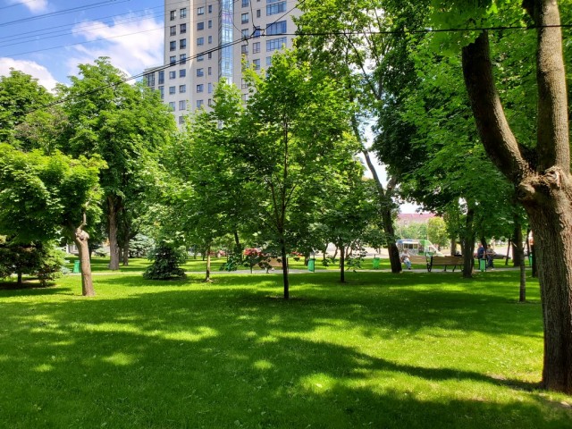 Москва - город женщин в поисках любви (немного соплей)
